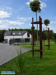 Bezczynszowe domy 65m2, Tarnów ul. Pienińska - Obrazek 3