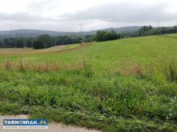 Rudka koło Wojnicza 38ar - Obrazek 2