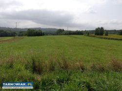 Rudka koło Wojnicza 38ar - Obrazek 1