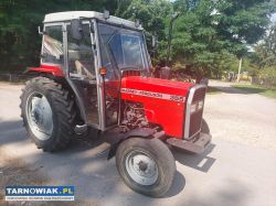 Massey ferguson 355  turbo ( ursus 3512 mf 255 ) - Obrazek 1