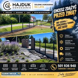 Ogrodzenia Hajdukowie!!! - Obrazek 2