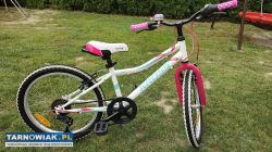 Rower 20 Kross Rica rama 11 cali - Obrazek 1