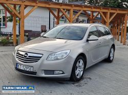 Opel Insignia 2.0 CDTi Klimatronic! Nawigacja! - Obrazek 1