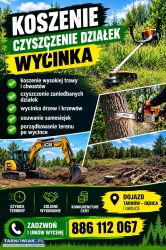 Czyszczenie działek, Koszenie, wycinki - Obrazek 1
