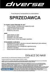 Diverse Gemini sprzedawca - Obrazek 1