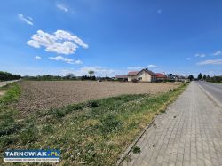 Działka budowlana 10ar Biała k. Tarnowa - Obrazek 2