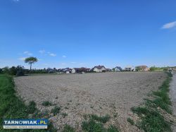 Działka budowlana 10ar Biała k. Tarnowa - Obrazek 3