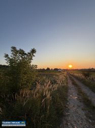 Działki budowlane pawęzów 11,85 + 14,26 ara - Obrazek 3