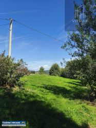 Rychwałd 26 arów - Obrazek 2