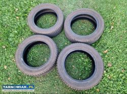 Opony zimowe Dębica Frigo 205/55R16 - Obrazek 3
