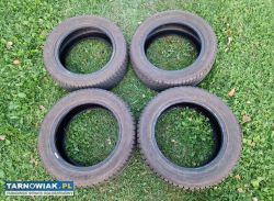 Opony zimowe Dębica Frigo 205/55R16 - Obrazek 1