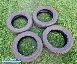 Opony zimowe Dębica Frigo 205/55R16 - Obrazek 2