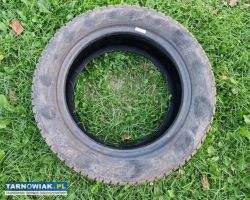 Opona zimowa Dębica Frigo 205/55R16 - Obrazek 1