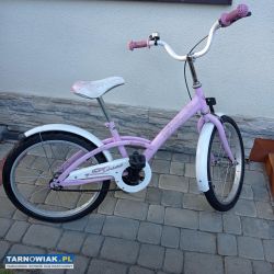Rower dla dziecka Roses koła 20 " - Obrazek 1