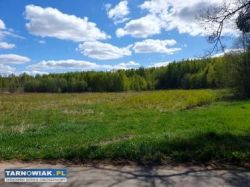 Porąbka Uszewska - działka rolna - Obrazek 1
