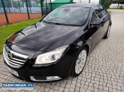 Opel insignia 2.0 cdti 2009r - Obrazek 1