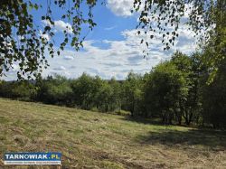 Tuchów działka budowlana 46 ar - Obrazek 3