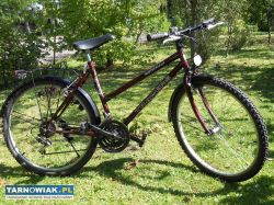 Rowery damskie-26, 27 i 28 cali. - Obrazek 2