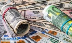 Potrzebujesz finansowania? Zacznij od jednej wiado - Obrazek 3