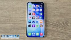 iPhone 12 64GB biały, stan bdb, bateria 88% - Obrazek 1