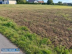 Atrakcyjna działka w Zgłobicach przy asfalcie ! - Obrazek 1