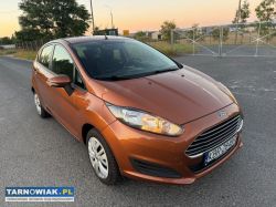 Ford Fiesta 1,25 Benzyna - Obrazek 2