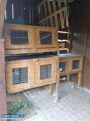 Sprzedam klatki dla królików używane - Obrazek 1