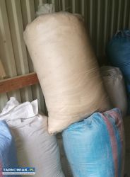 Trociny bukowe suche - Obrazek 1