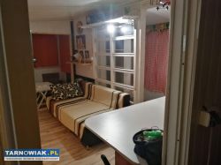 Ogród działkowy z domkiem RODO - Obrazek 3
