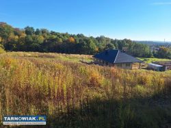 Pawęzów - budowlana, 16 ar - Obrazek 2