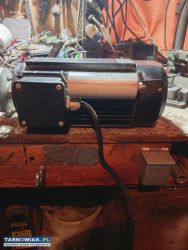 silnik 220v jamnik - Obrazek 2