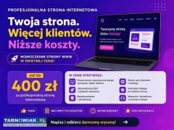 Strony internetowe – tanio i solidnie - Obrazek 1