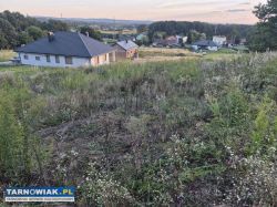Pawęzów - budowlana, 16 ar - Obrazek 1