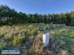 Pawęzów - budowlana, 16 ar - Obrazek 2