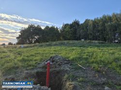 Pawęzów - budowlana, 16 ar - Obrazek 4