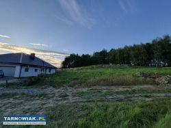 Pawęzów - budowlana, 16 ar - Obrazek 3