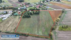 Kompleks 11 działek w Wielopolu (pow. dąbrowski) - Obrazek 2