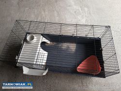 Duża klatka dla świnki morskiej - Obrazek 2