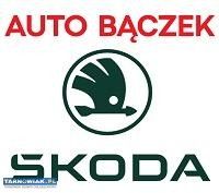 Diagnosta Samochodowy (OSKP) – [Tarnów] - Obrazek 1