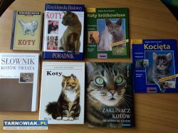 Książki dla miłośników kotów - Obrazek 1