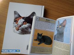 Książki dla miłośników kotów - Obrazek 3