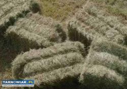 Sprzedam siano w kostkach - Obrazek 1