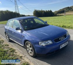 Audi a3 1.9 tdi 1999r - Obrazek 1