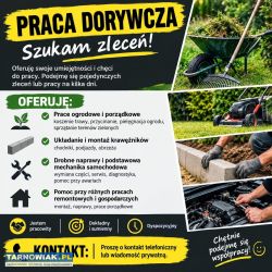 Praca dorywcza – usługi ogrodowe i nie tylko - Obrazek 1
