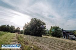 Działka budowlana 1 213 m² – Zgłobice - Obrazek 4