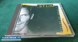 Sting Fields of gold CD - Obrazek 1