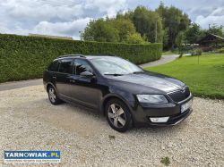 Skoda Octavia III - Obrazek 1