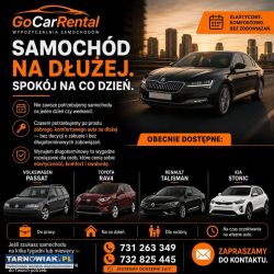 Auto od ręki, atrakcyjna cena i zero zbędnego czek - Obrazek 2