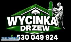 Wycinka Drzew - Obrazek 1