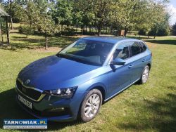Skoda scala - Obrazek 1